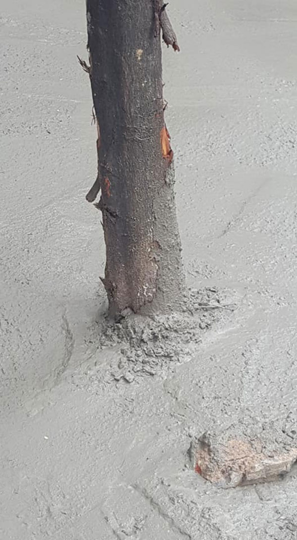 เศร้าใจ...ช่างฉาบปูนทับรากไม้ โซเชียลซัด เป็นงานมักง่ายระดับสูงสุด เศร้าใจ...ช่างฉาบปูนทับรากไม้ โซเชียลซัด เป็นงานมักง่ายระดับสูงสุด