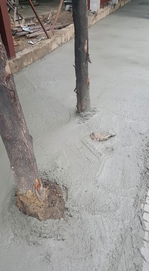 เศร้าใจ...ช่างฉาบปูนทับรากไม้ โซเชียลซัด เป็นงานมักง่ายระดับสูงสุด เศร้าใจ...ช่างฉาบปูนทับรากไม้ โซเชียลซัด เป็นงานมักง่ายระดับสูงสุด