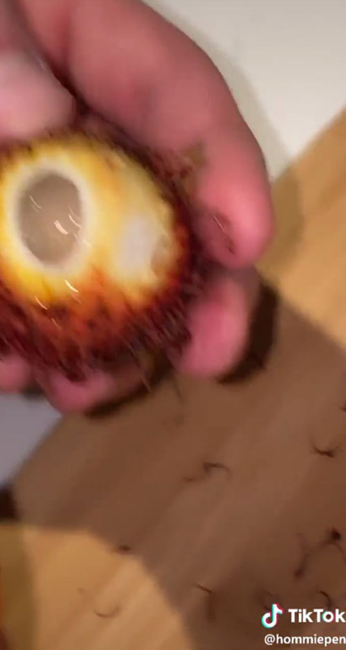 ฝรั่งไม่รู้จักเงาะ ฝรั่งไม่รู้จักเงาะ