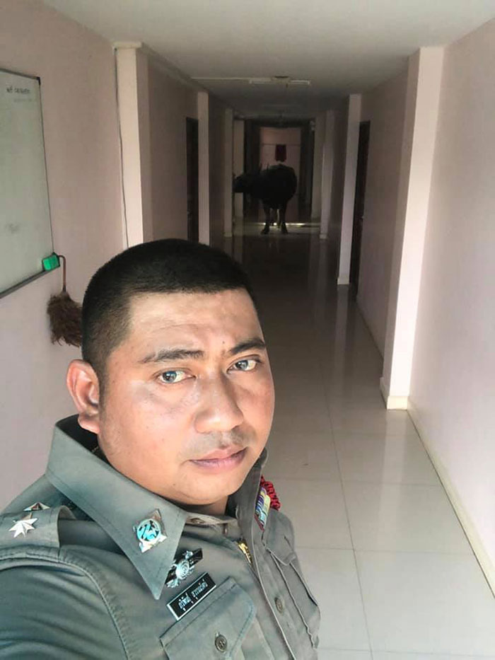 โซเชียลลั่น !! ตำรวจหนุ่มขอเมียอย่าโกรธ ที่กลับบ้านช้า ติดภารกิจ.. พาไอ้ทุยกลับคอก โซเชียลลั่น !! ตำรวจหนุ่มขอเมียอย่าโกรธ ที่กลับบ้านช้า ติดภารกิจ.. พาไอ้ทุยกลับคอก