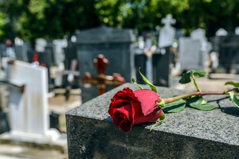 รัฐวอชิงตันเสนอวิธีจัดการศพแบบใหม่ ไม่เผา-ฝัง แต่ย่อยสลาย ให้กลายเป็นปุ๋ย รัฐวอชิงตันเสนอวิธีจัดการศพแบบใหม่ ไม่เผา-ฝัง แต่ย่อยสลาย ให้กลายเป็นปุ๋ย