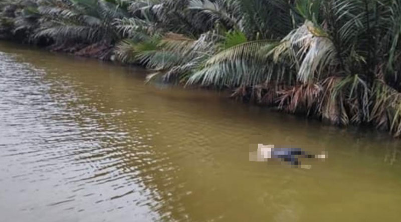 จระเข้กินคน จระเข้กินคน