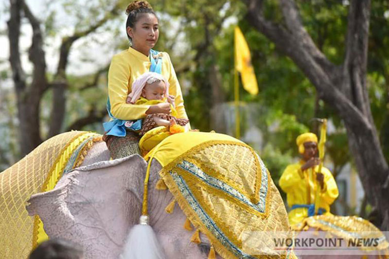 หมอพลาย ลาดทองแท้ หมอพลาย ลาดทองแท้