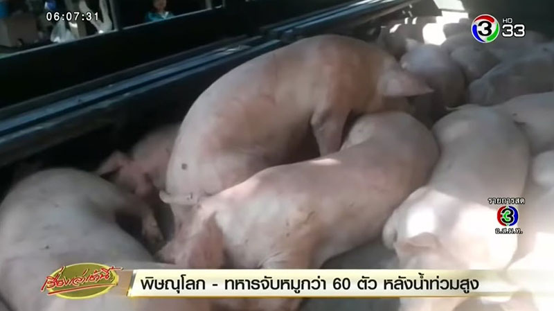 น้ำท่วมพิษณุโลก น้ำท่วมพิษณุโลก