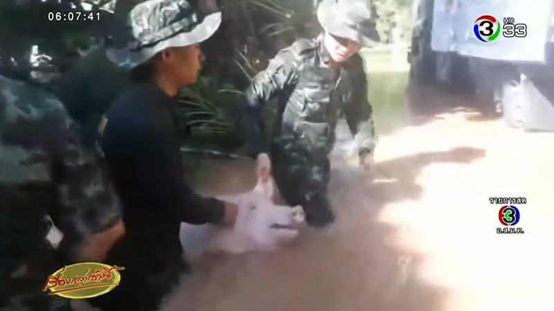 น้ำท่วมพิษณุโลก น้ำท่วมพิษณุโลก