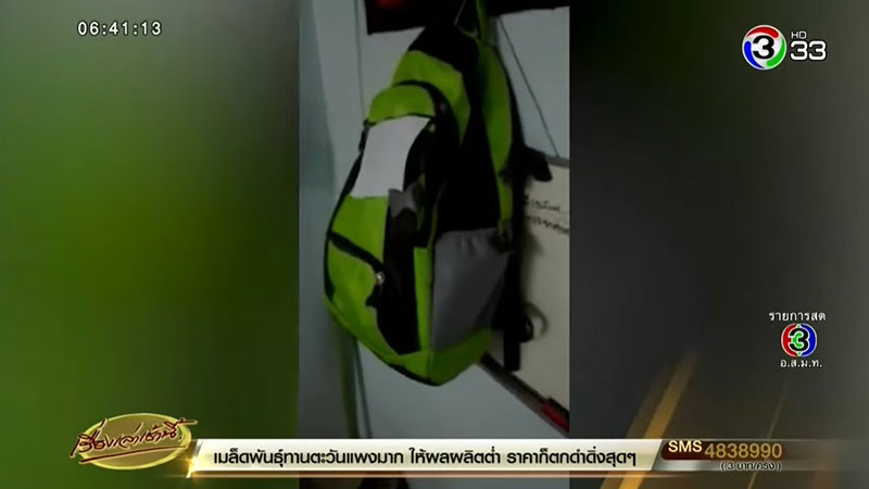 ผีตามรังควาญ ผีตามรังควาญ