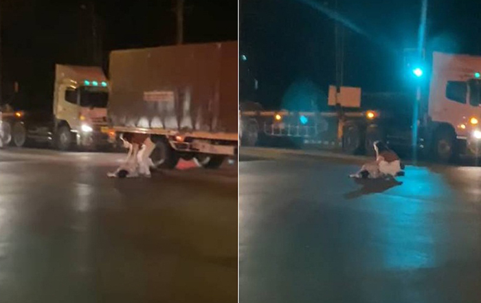 ทะเลาะแฟน ทะเลาะแฟน