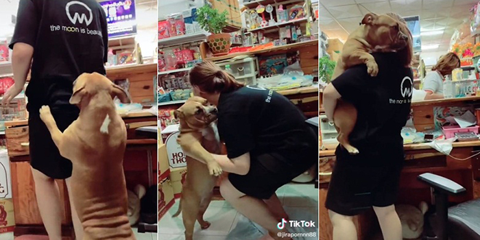 เฮงเฮง หมาขี้อ้อน เฮงเฮง หมาขี้อ้อน