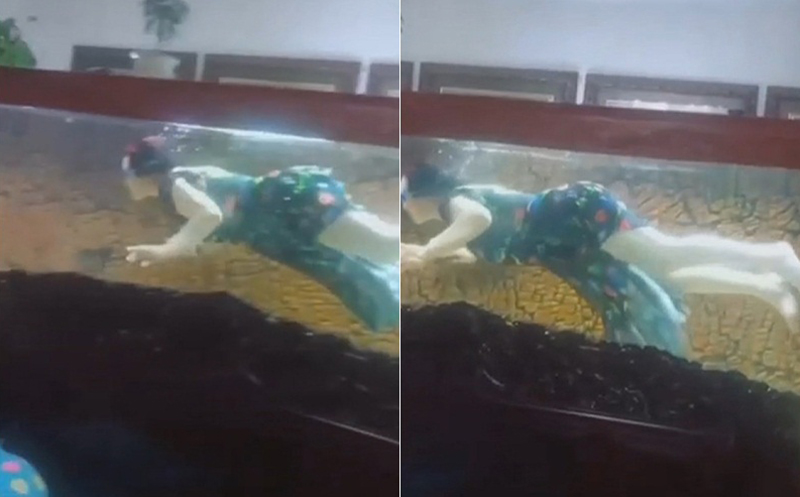 ว่ายน้ำในตู้ปลา ว่ายน้ำในตู้ปลา