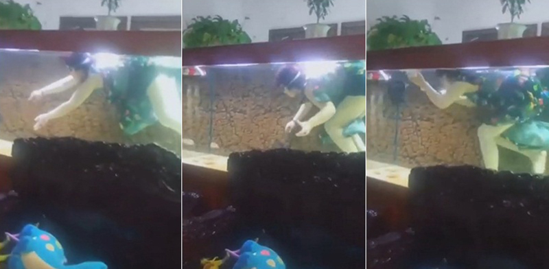 ว่ายน้ำในตู้ปลา ว่ายน้ำในตู้ปลา