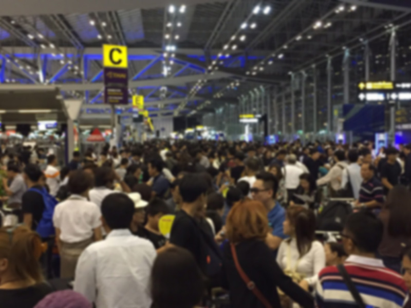 ซินแสโชกุน ซินแสโชกุน