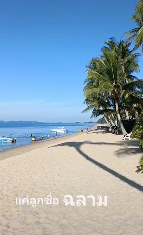 ลูกชื่อฉลาม ลูกชื่อฉลาม