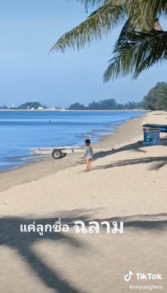 ลูกชื่อฉลาม ลูกชื่อฉลาม