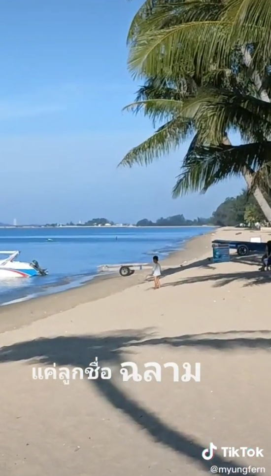 ลูกชื่อฉลาม ลูกชื่อฉลาม