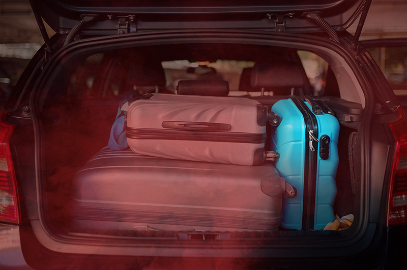 ศพในกระเป๋า ศพในกระเป๋า