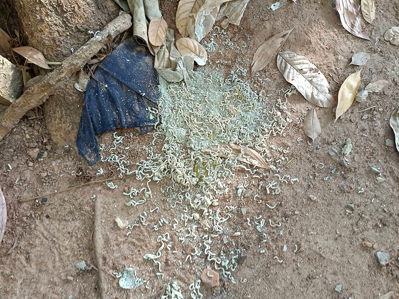 อุทาหรณ์ กินบะหมี่ถ้วยร้อน อุทาหรณ์ กินบะหมี่ถ้วยร้อน