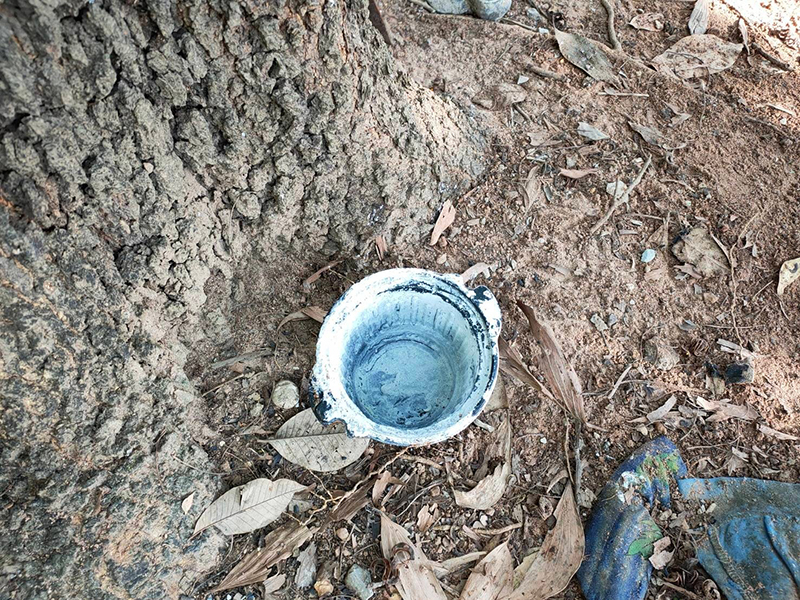 อุทาหรณ์ กินบะหมี่ถ้วยร้อน อุทาหรณ์ กินบะหมี่ถ้วยร้อน