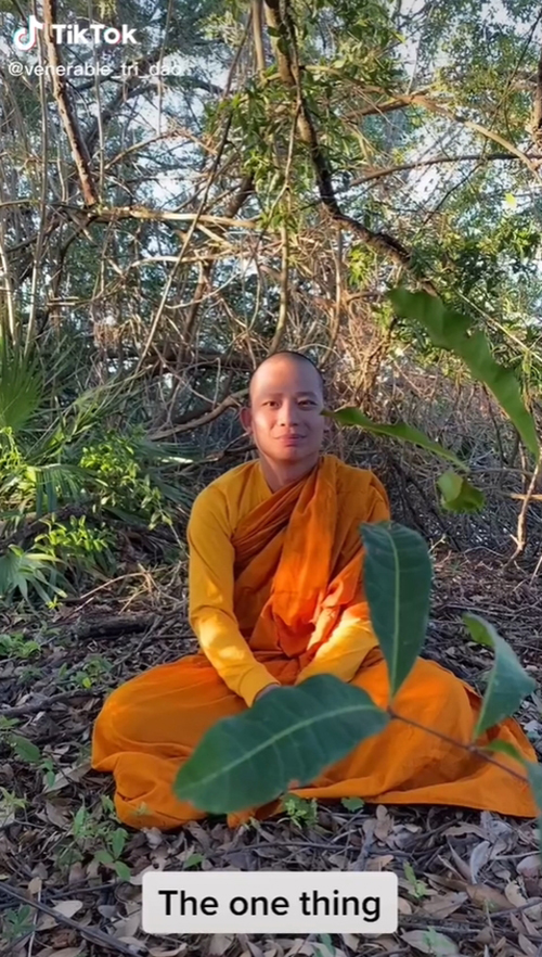 หลวงพี่เซเลบ Tri Dao หลวงพี่เซเลบ Tri Dao