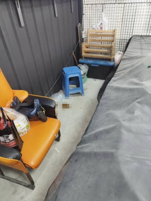 ขโมยรองเท้า ขโมยรองเท้า