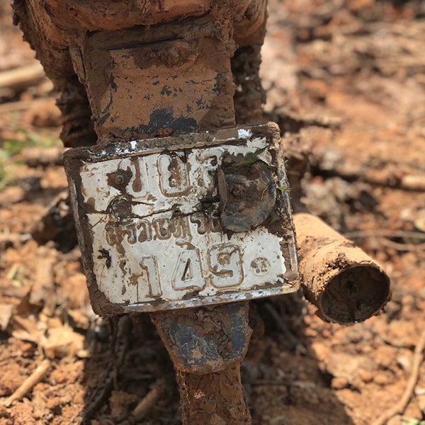 ฆ่ายัดถัง ฆ่ายัดถัง