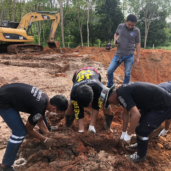 ฆ่ายัดถัง ฆ่ายัดถัง