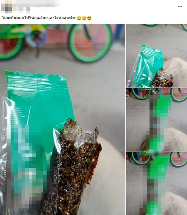 อะไรขาว ๆ ในสาหร่ายห่อกรอบม้วน อะไรขาว ๆ ในสาหร่ายห่อกรอบม้วน