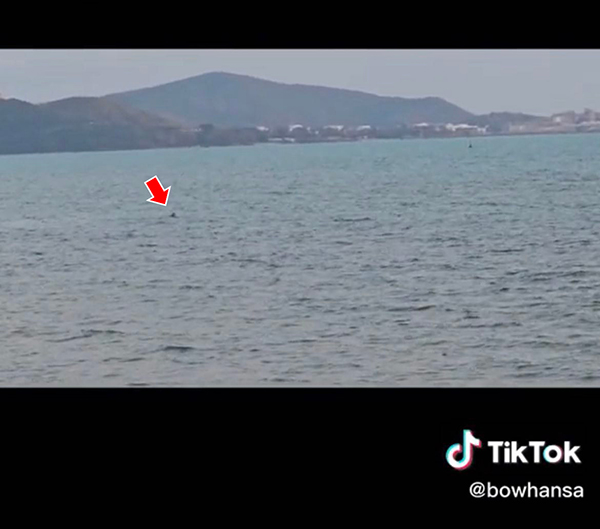 ใช้มือถือซูม 100 เท่า ช่วยคนจมน้ำ ใช้มือถือซูม 100 เท่า ช่วยคนจมน้ำ