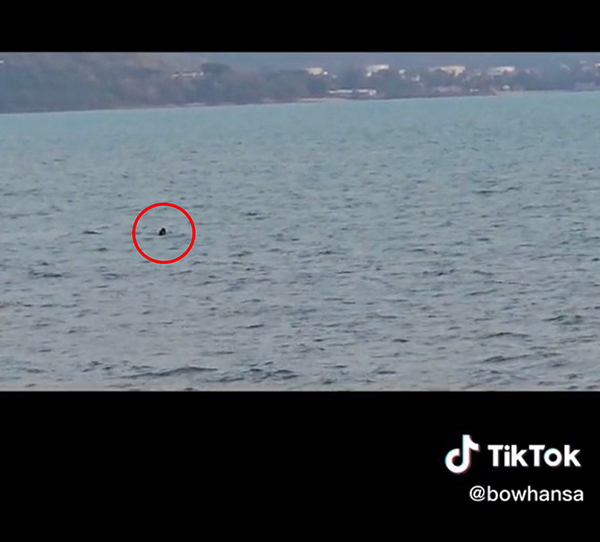 ใช้มือถือซูม 100 เท่า ช่วยคนจมน้ำ ใช้มือถือซูม 100 เท่า ช่วยคนจมน้ำ