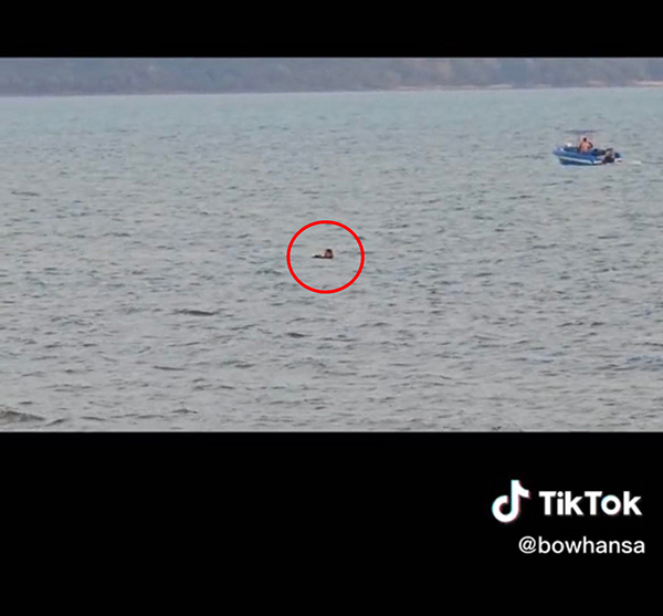 ใช้มือถือซูม 100 เท่า ช่วยคนจมน้ำ ใช้มือถือซูม 100 เท่า ช่วยคนจมน้ำ