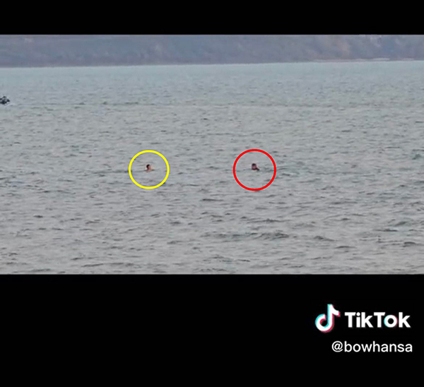 ใช้มือถือซูม 100 เท่า ช่วยคนจมน้ำ ใช้มือถือซูม 100 เท่า ช่วยคนจมน้ำ