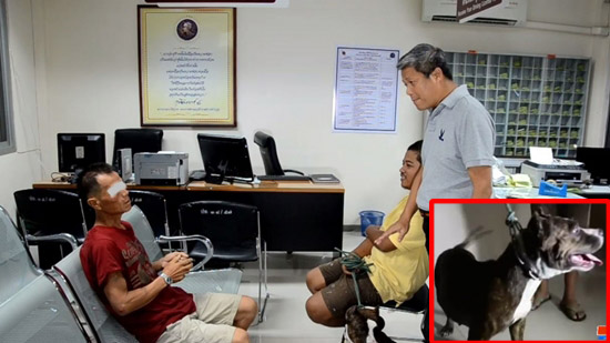 รวบหนุ่มวิตถารพยายามข่มขืนสุนัข รับเห็นสุนัขพันธุ์เทศแล้วเกิดอารมณ์ รวบหนุ่มวิตถารพยายามข่มขืนสุนัข รับเห็นสุนัขพันธุ์เทศแล้วเกิดอารมณ์