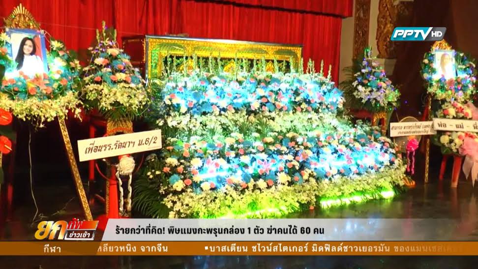 พิษแมงกะพรุนกล่อง ร้ายกว่าที่คิด 1 ตัว ฆ่าคนได้ 60 คน พิษแมงกะพรุนกล่อง ร้ายกว่าที่คิด 1 ตัว ฆ่าคนได้ 60 คน