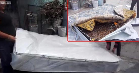 ตะลึง ! แฉสภาพด้านในที่นอนใหม่...เห็นแล้วสะเทือนใจเป็นที่สุด ตะลึง ! แฉสภาพด้านในที่นอนใหม่...เห็นแล้วสะเทือนใจเป็นที่สุด