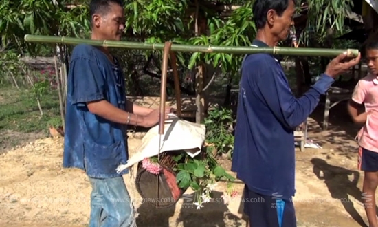 ชาวสุโขทัยจัดพิธี แห่นางแมว ขอฝนเหตุแล้งจัดจนพืชผลเสียหาย ชาวสุโขทัยจัดพิธี แห่นางแมว ขอฝนเหตุแล้งจัดจนพืชผลเสียหาย