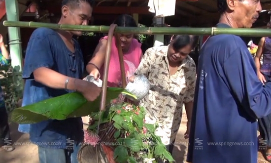ชาวสุโขทัยจัดพิธี แห่นางแมว ขอฝนเหตุแล้งจัดจนพืชผลเสียหาย ชาวสุโขทัยจัดพิธี แห่นางแมว ขอฝนเหตุแล้งจัดจนพืชผลเสียหาย