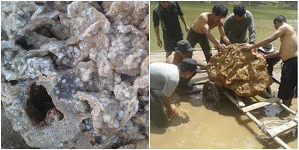 พบหินแก้วโป่งข่ามยักษ์ สวยสุดในรอบ 50 ปี เชื่อเป็นหินมงคล พบหินแก้วโป่งข่ามยักษ์ สวยสุดในรอบ 50 ปี เชื่อเป็นหินมงคล