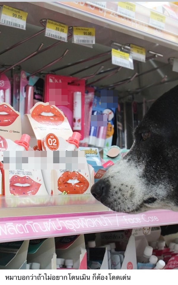 ดราม่า ดราม่า