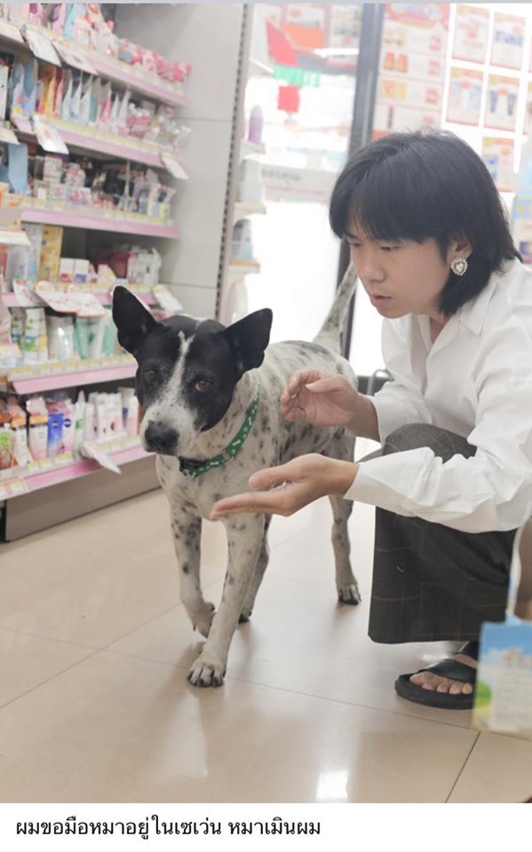 ดราม่า ดราม่า