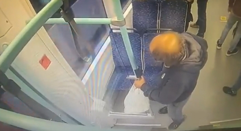 หนุ่มอิจฉาหมาเซเลบโบ้ยความผิดให้หมา หนุ่มอิจฉาหมาเซเลบโบ้ยความผิดให้หมา