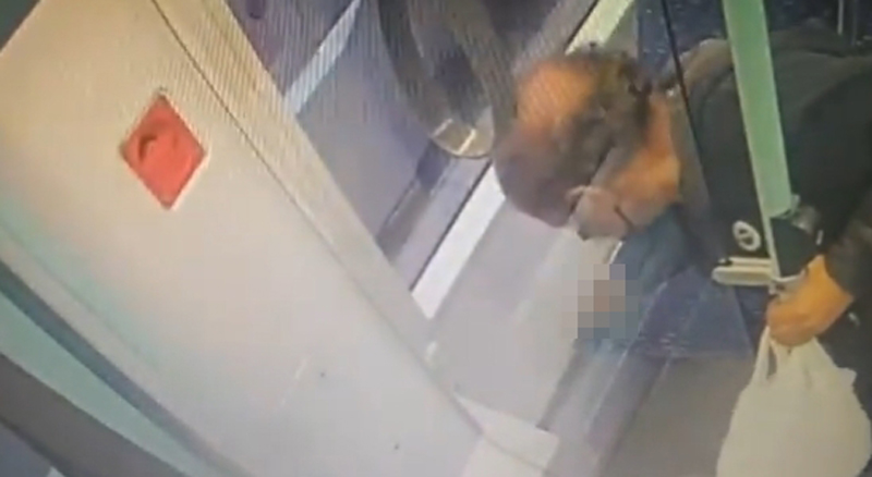 หนุ่มอิจฉาหมาเซเลบโบ้ยความผิดให้หมา หนุ่มอิจฉาหมาเซเลบโบ้ยความผิดให้หมา