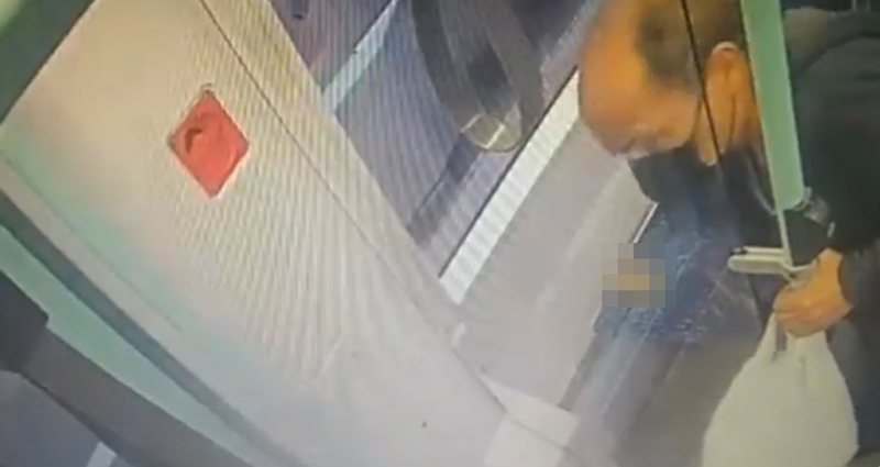 หนุ่มอิจฉาหมาเซเลบโบ้ยความผิดให้หมา หนุ่มอิจฉาหมาเซเลบโบ้ยความผิดให้หมา