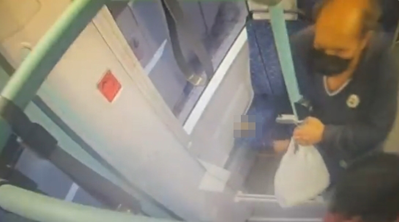 หนุ่มอิจฉาหมาเซเลบโบ้ยความผิดให้หมา หนุ่มอิจฉาหมาเซเลบโบ้ยความผิดให้หมา