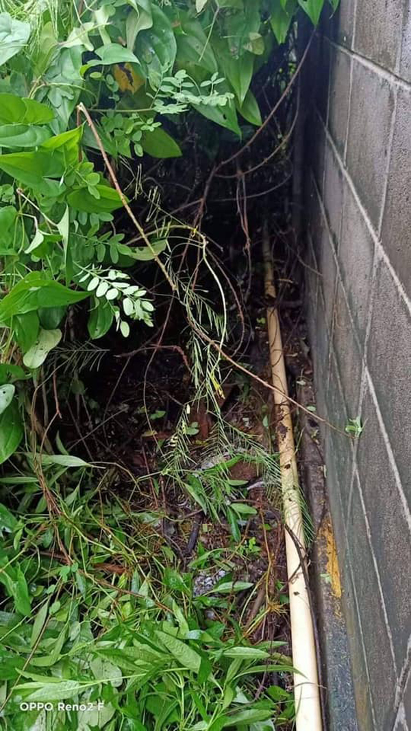 แม่วัยใสเอาถุงคลุมหัวลูกทิ้งพงหญ้าท้องไม่รู้ตัวกลัวแม่ด่า แม่วัยใสเอาถุงคลุมหัวลูกทิ้งพงหญ้าท้องไม่รู้ตัวกลัวแม่ด่า