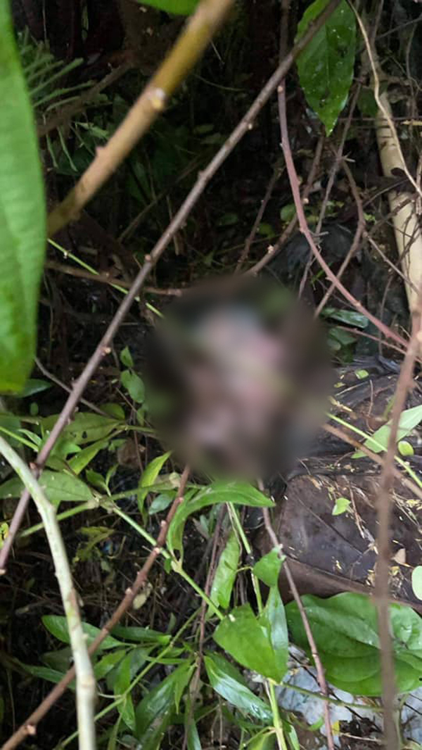 แม่วัยใสเอาถุงคลุมหัวลูกทิ้งพงหญ้าท้องไม่รู้ตัวกลัวแม่ด่า แม่วัยใสเอาถุงคลุมหัวลูกทิ้งพงหญ้าท้องไม่รู้ตัวกลัวแม่ด่า