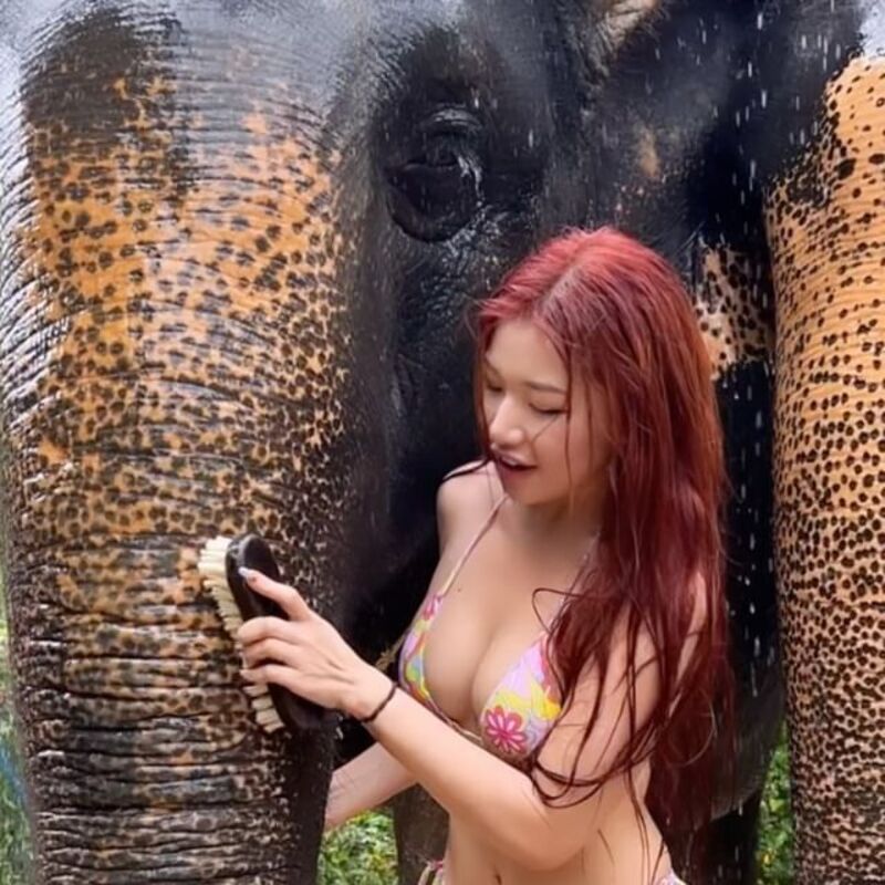 เสี่ยว ปุย ยี่ เสี่ยว ปุย ยี่