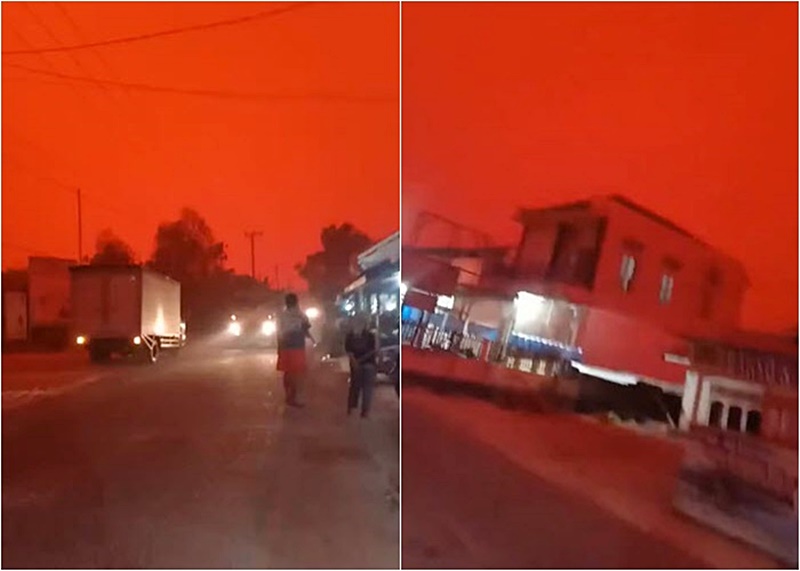 ไฟป่า ไฟป่า