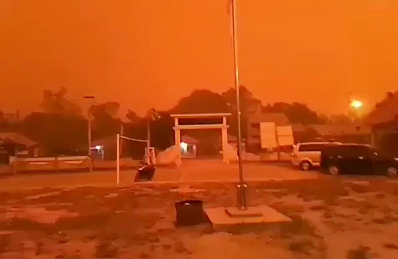 ไฟป่า ไฟป่า