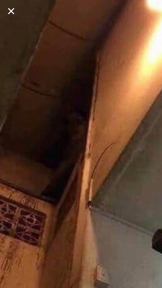 หอพักหลอน 500 บาท หอพักหลอน 500 บาท