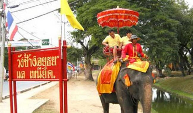 ปางช้าง ปางช้าง