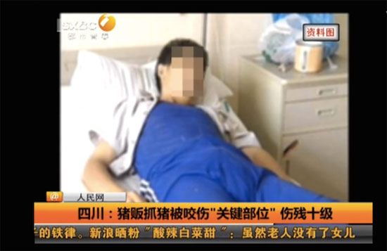 พ่อค้าหมูจีนซวยถูกหมูกระโจนกัดเจ้าโลกหวิดขาด พ่อค้าหมูจีนซวยถูกหมูกระโจนกัดเจ้าโลกหวิดขาด